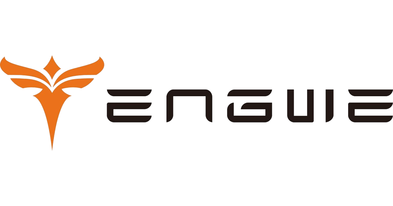 ENGWE Fatbikes – Kracht, Stijl & Comfort | ebikexshop.nl