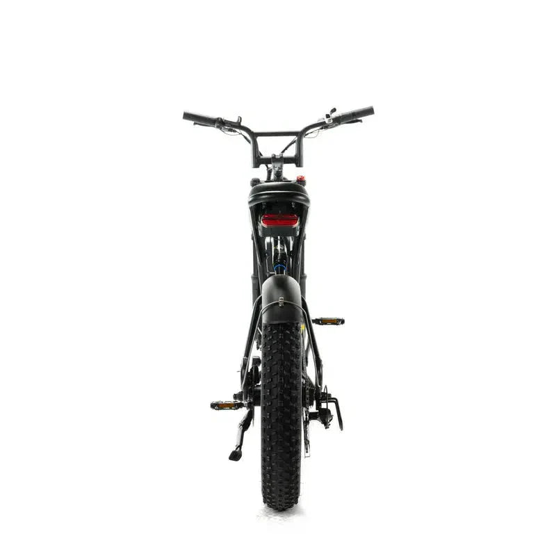 ENGWE M20 Fatbike – Zwart