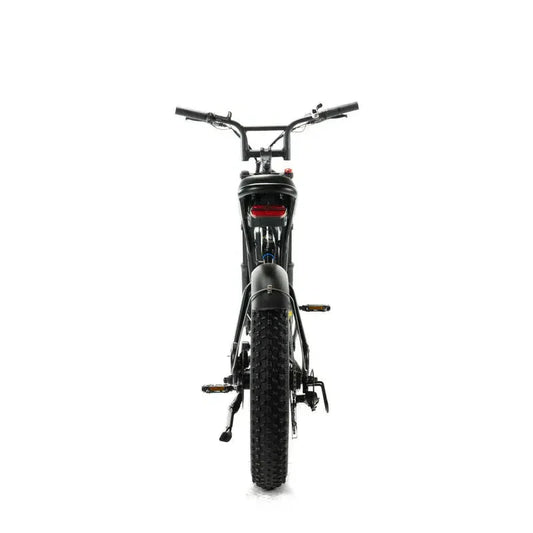 ENGWE M20 Fatbike – Zwart