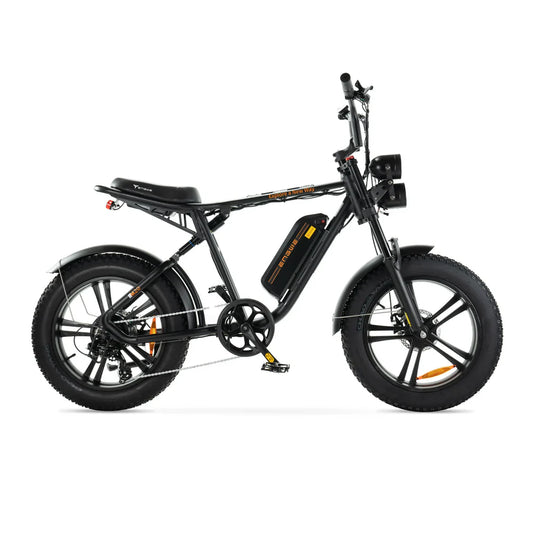 ENGWE M20 Fatbike – Zwart