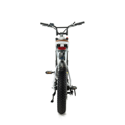 ENGWE M20 Fatbike dubbele accu – Wit