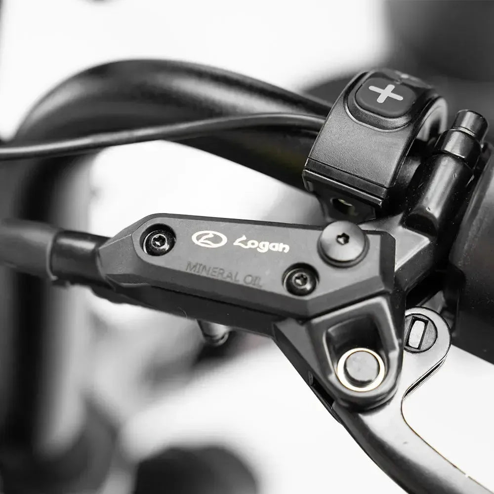 Fatbike S20 Pro – Zwart