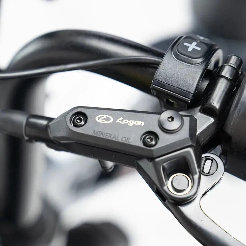 S20 Pro Donkergrijs –  Fatbike