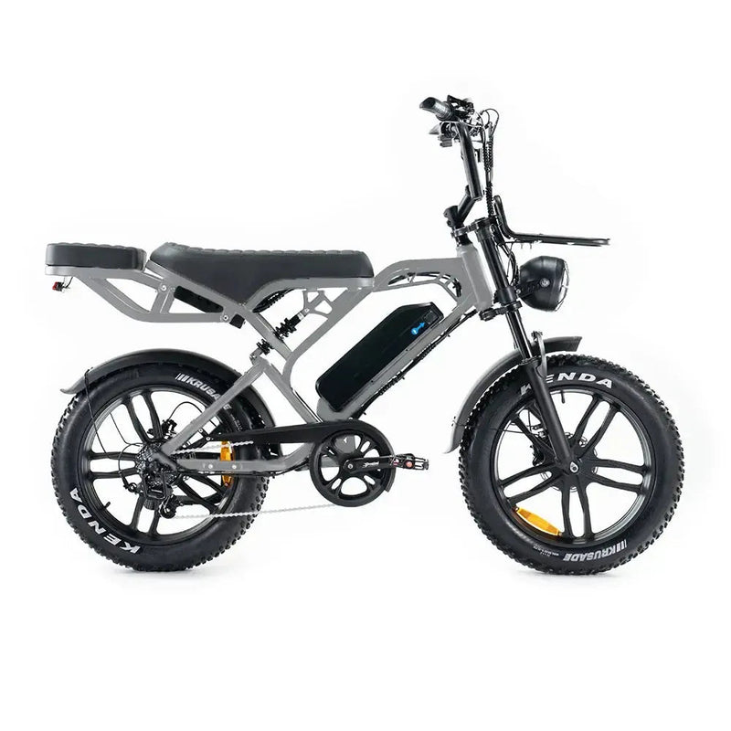 V20 Pro fatbike Lichtgrijs