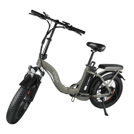 Windgoo E20 Pro donkerbruin