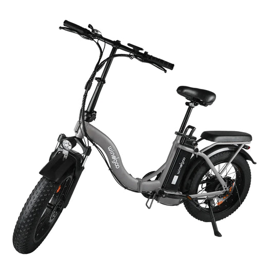 Windgoo E20 Pro - Beige
