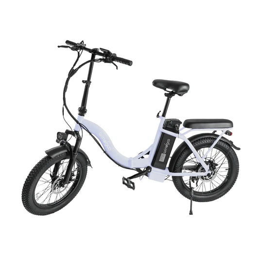 Windgoo E20 - Lichtpaars