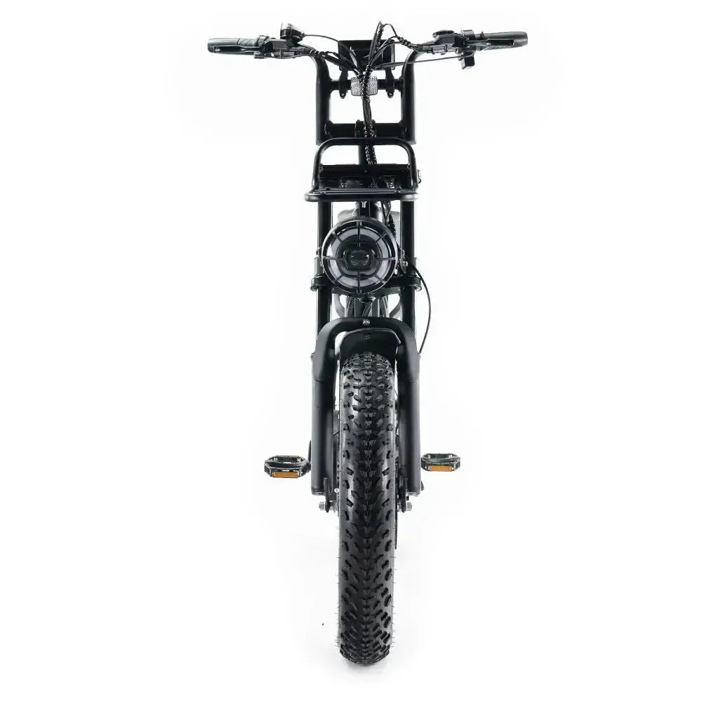 Fatbike V20 Pro
