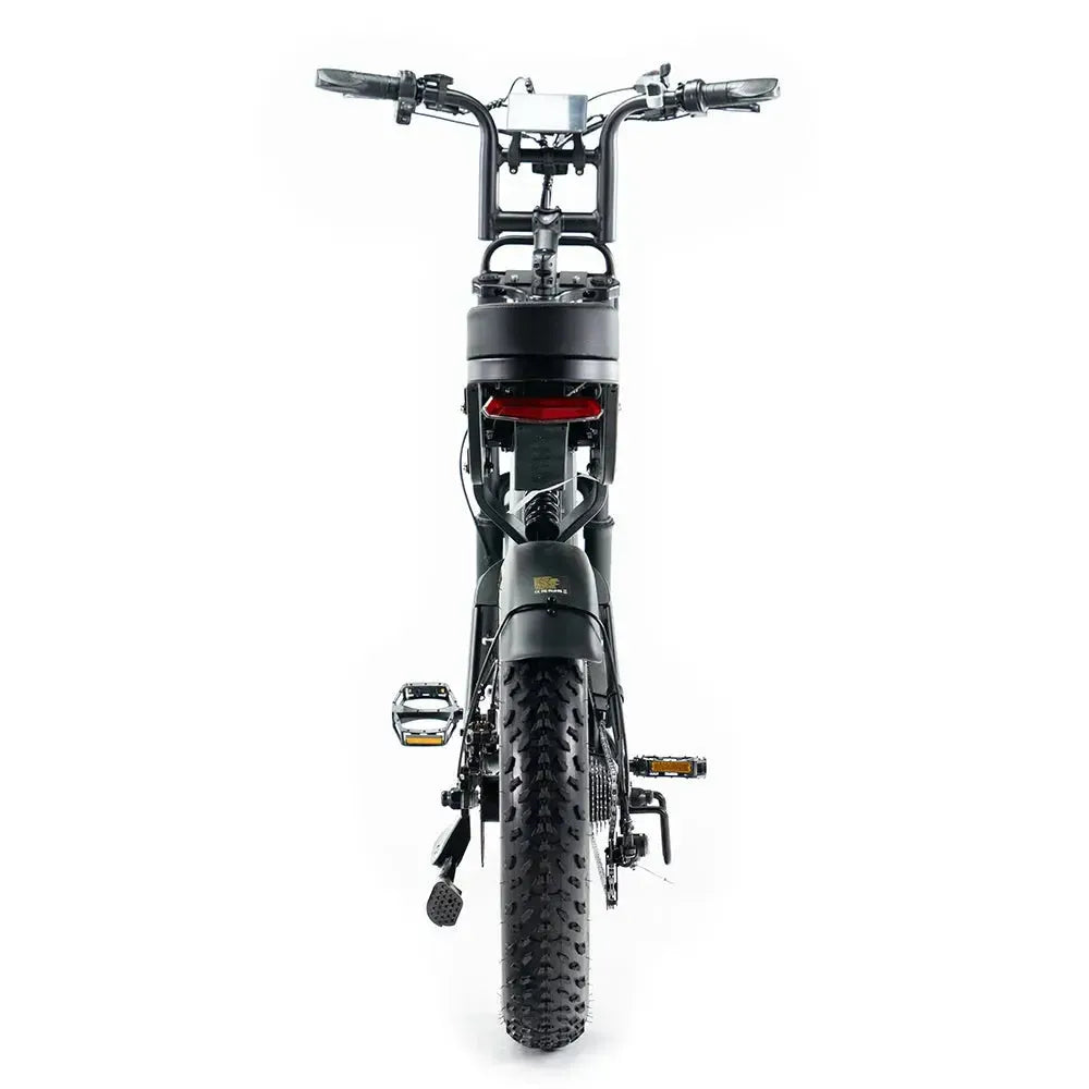 Fatbike V20 Pro