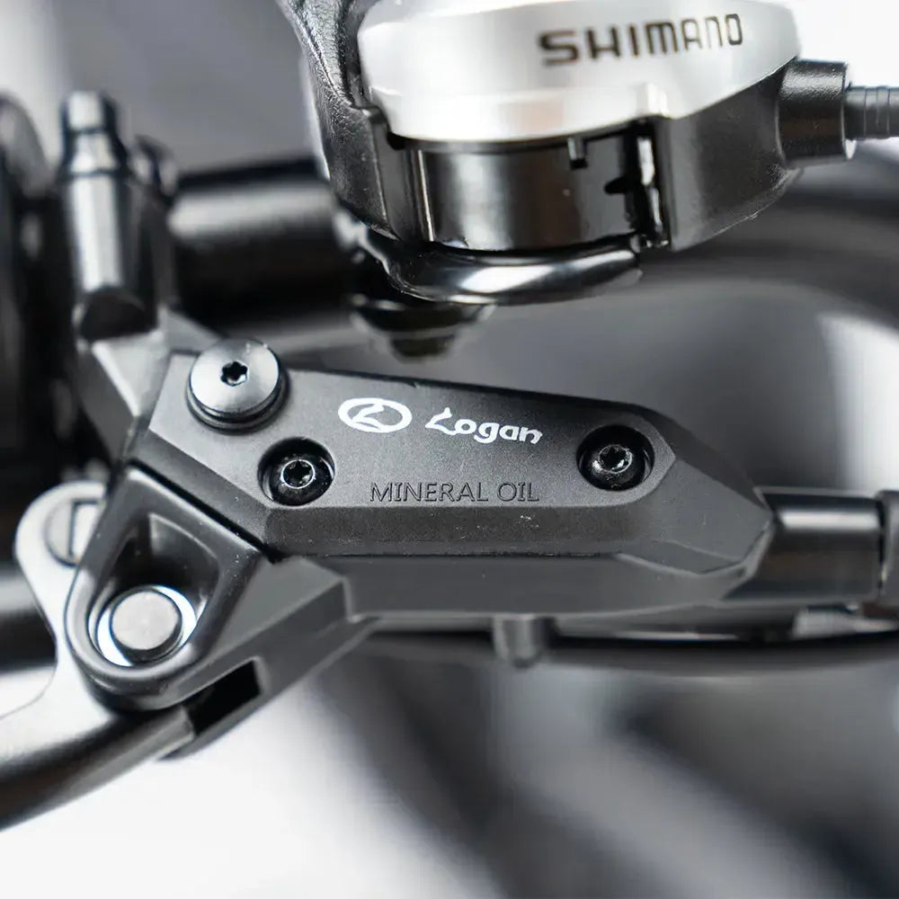 Fatbike V20 Pro – licht grijs