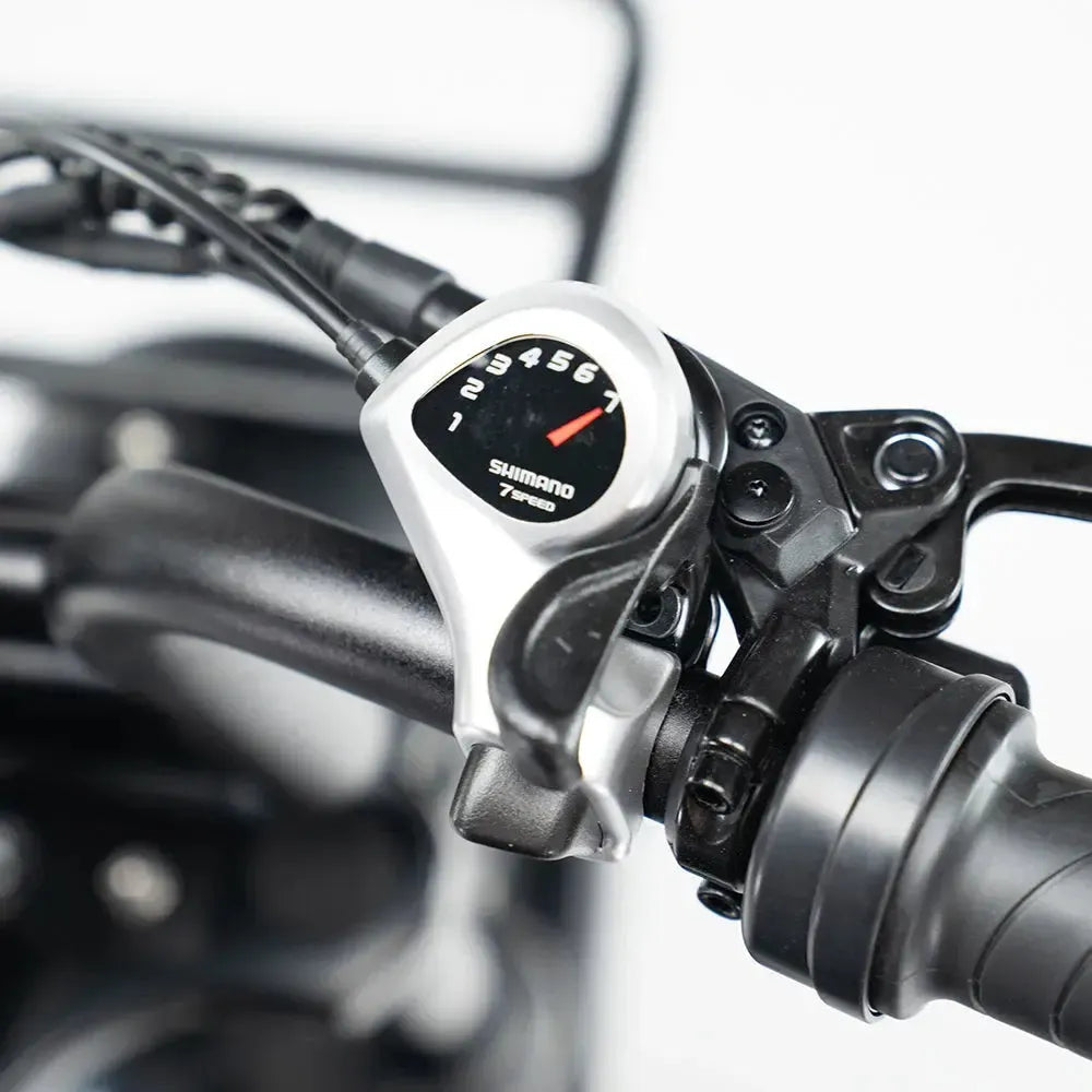 Fatbike S20 Pro – Zwart